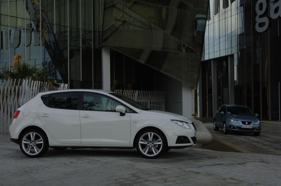  Seat Ibiza 2008 года  (фото 200 из 287)
